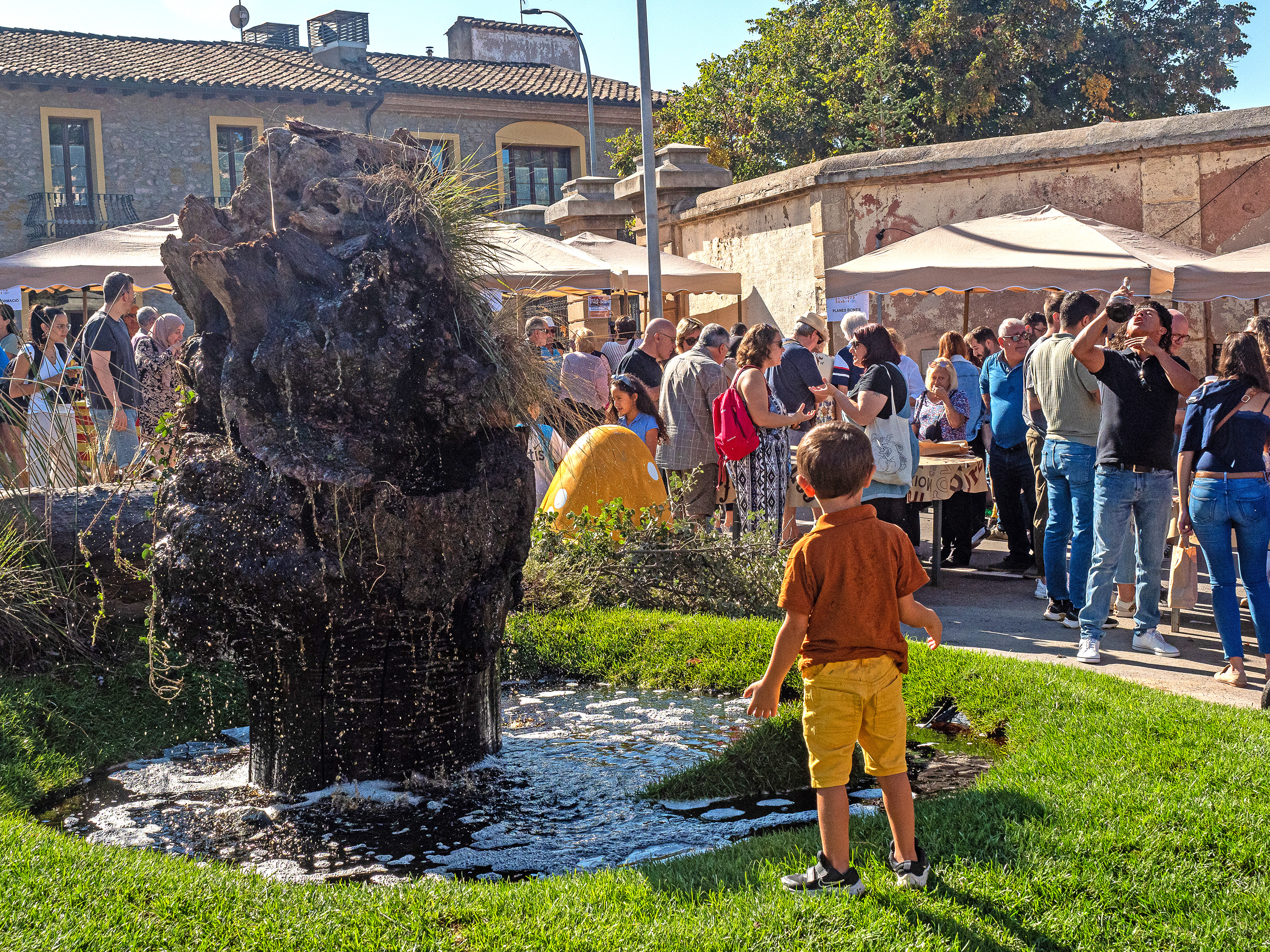 Seva - Festa del Bolet (Foto: Ajuntament de Seva) 