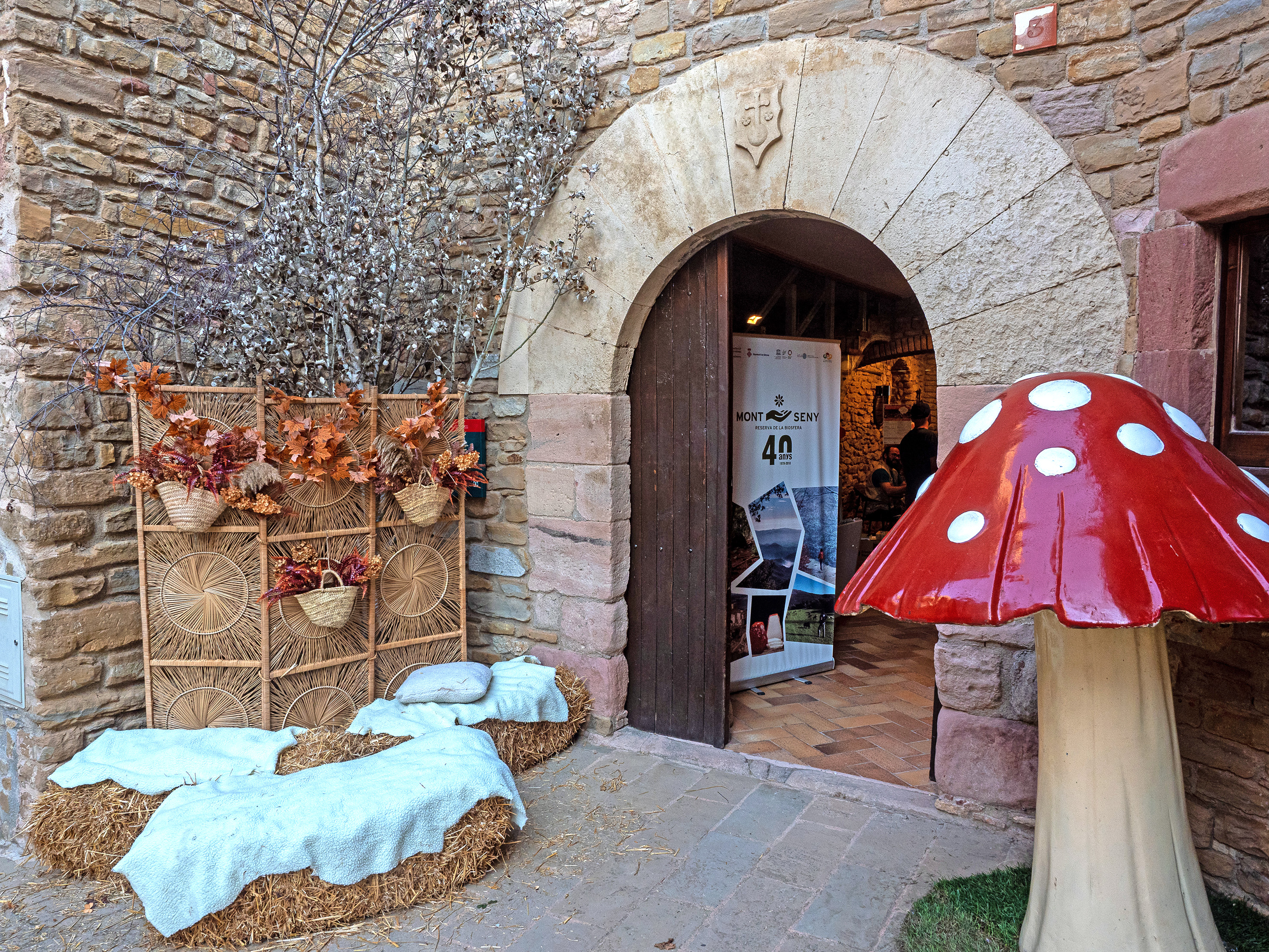 Seva - Festa del Bolet (Foto: Ajuntament de Seva) 