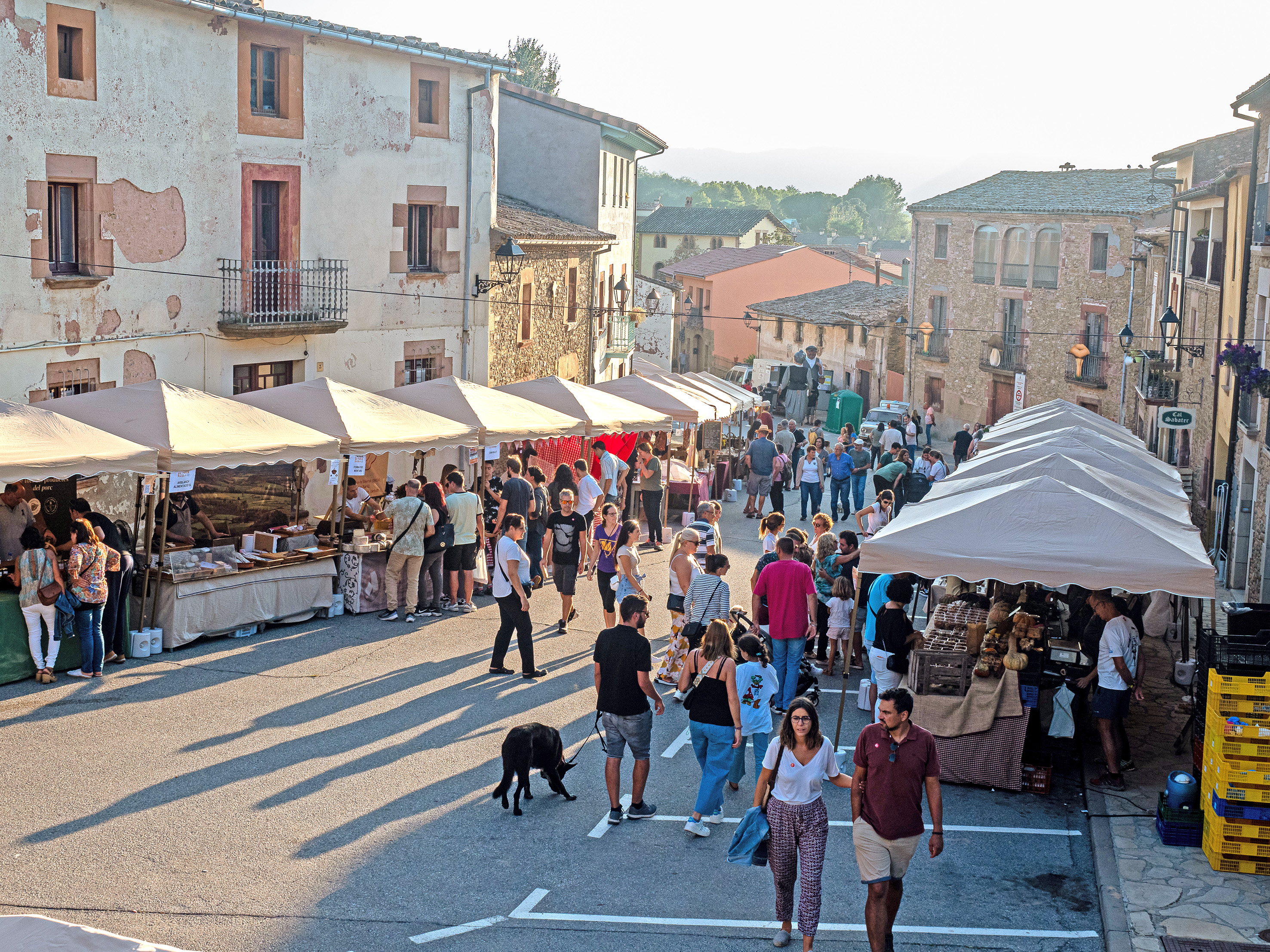 Seva - Festa del Bolet (Foto: Ajuntament de Seva) 