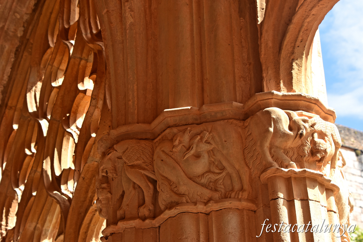 Aiguamúrcia - Capitells i finestrals del claustre del monestir de Santes Creus - Lluita d'animals fantàstics