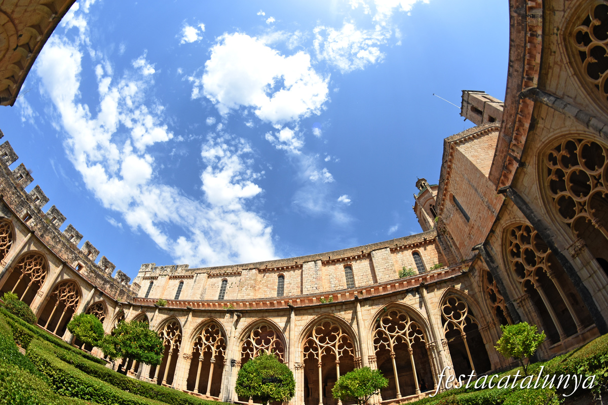 Aiguamúrcia - Claustre Major del monestir de Santes Creus