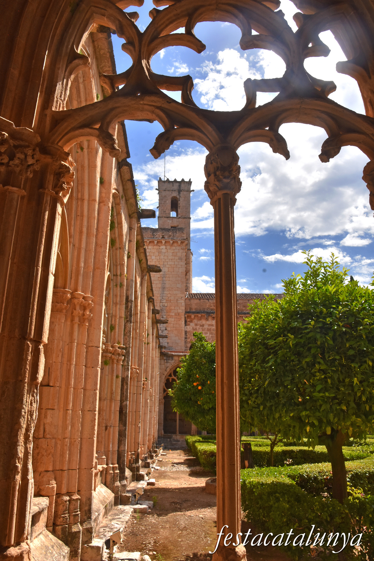 Aiguamúrcia - Claustre Major del monestir de Santes Creus