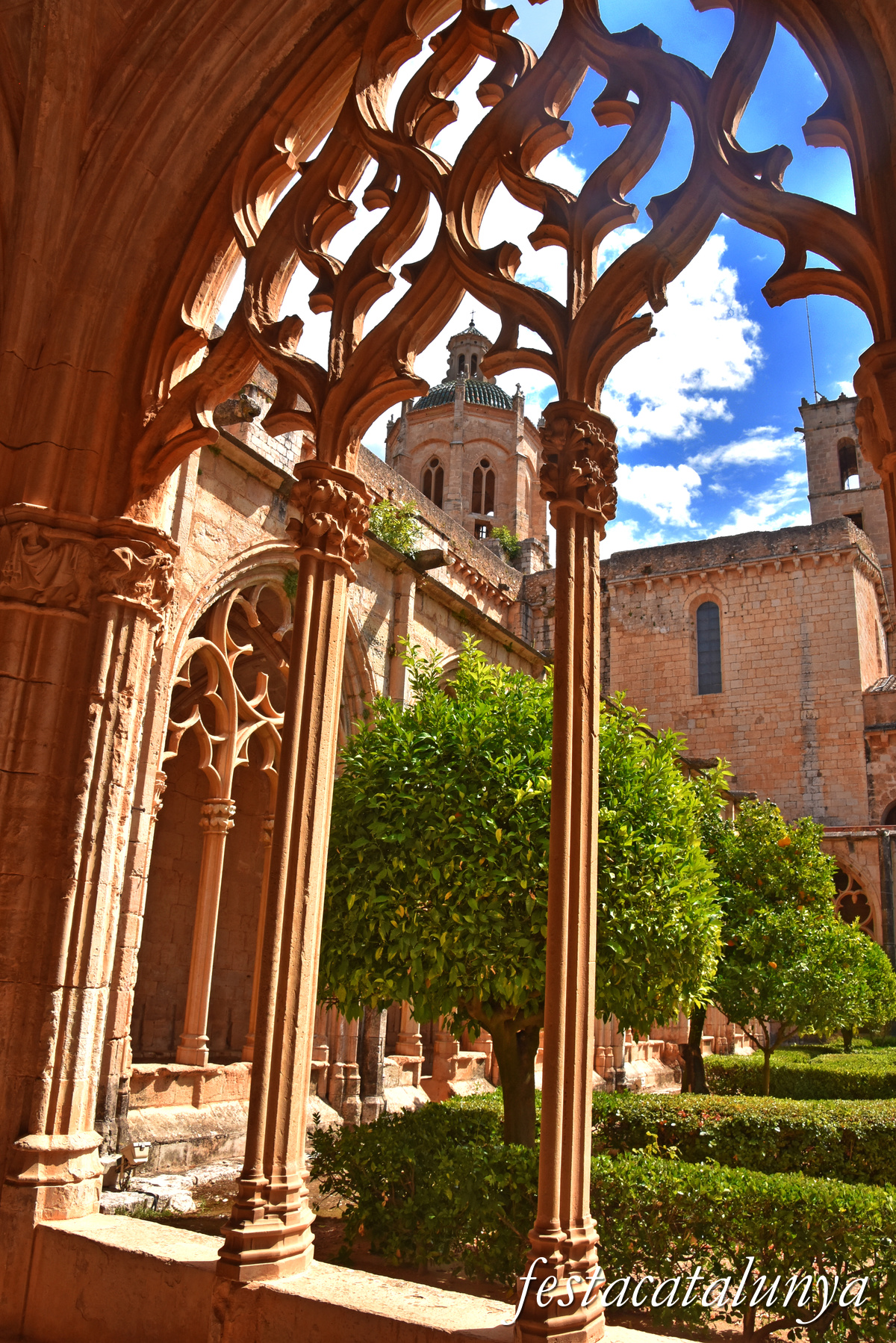 Aiguamúrcia - Claustre Major del monestir de Santes Creus