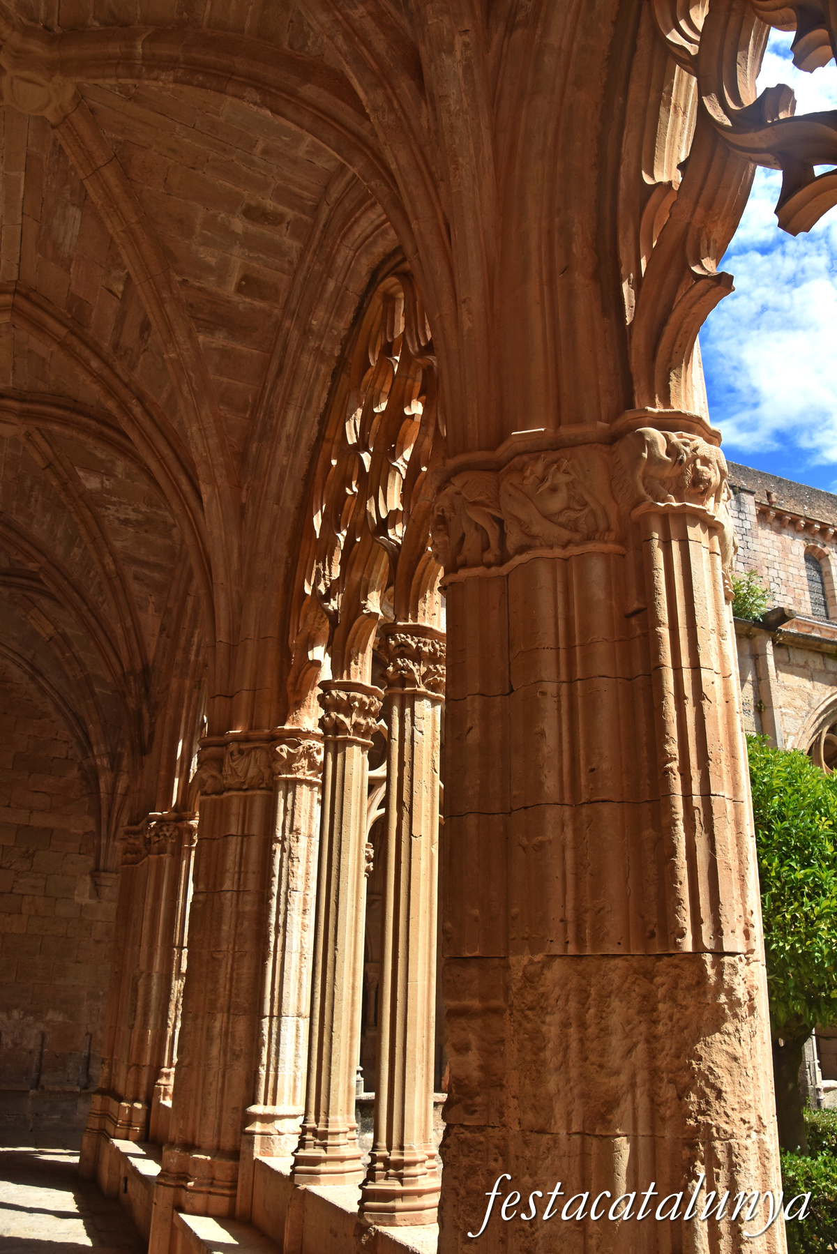 Aiguamúrcia - Claustre Major del monestir de Santes Creus