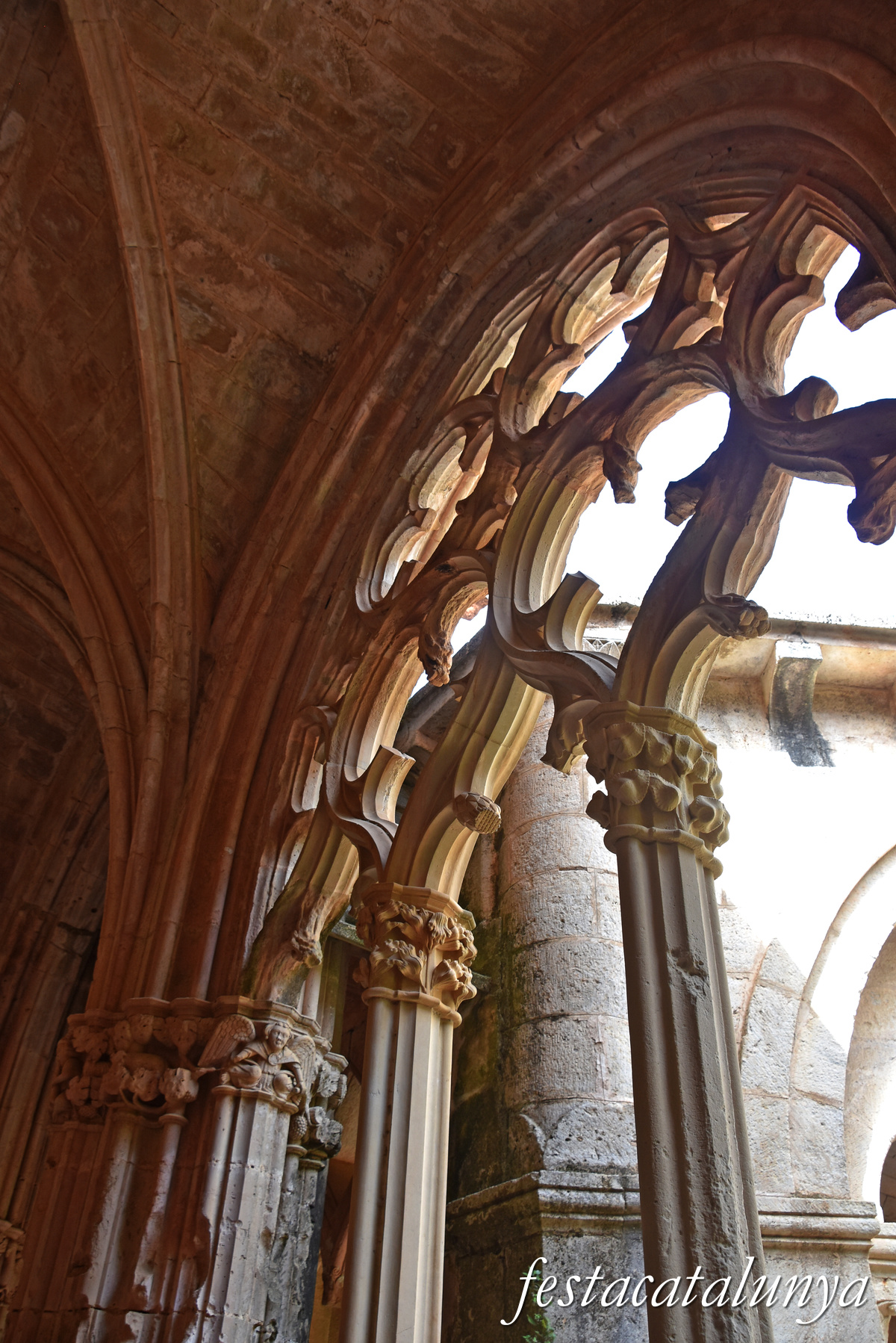 Aiguamúrcia - Claustre Major del monestir de Santes Creus