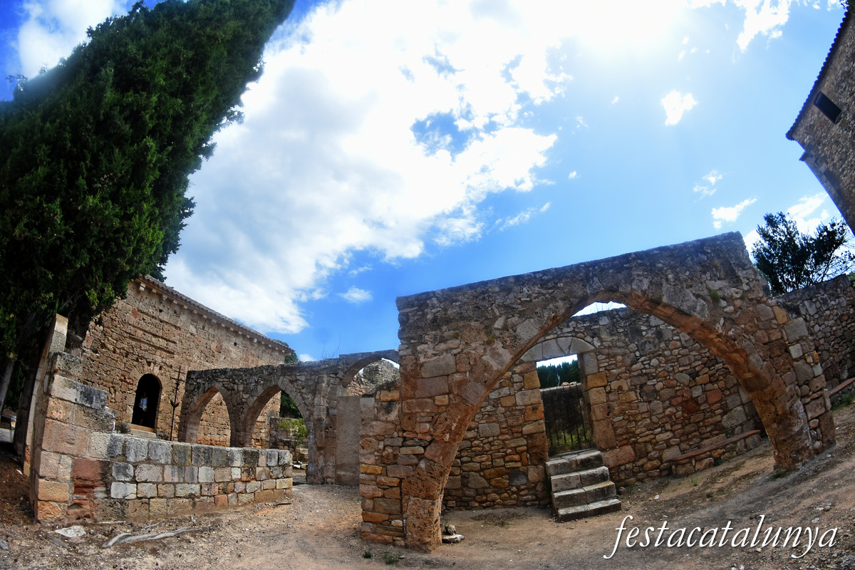 Aiguamúrcia - Claustre Posterior del monestir de Santes Creus 