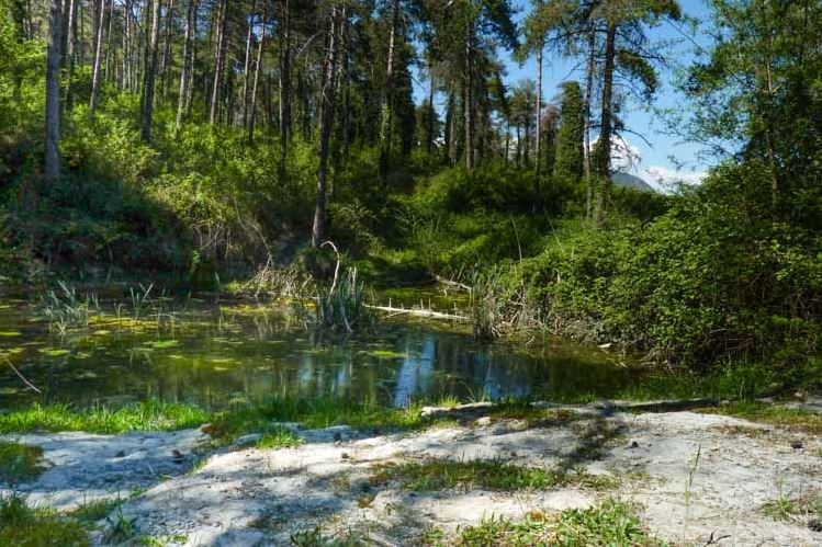 Les Masies de Voltregà - Rutes de Senderisme i BTT