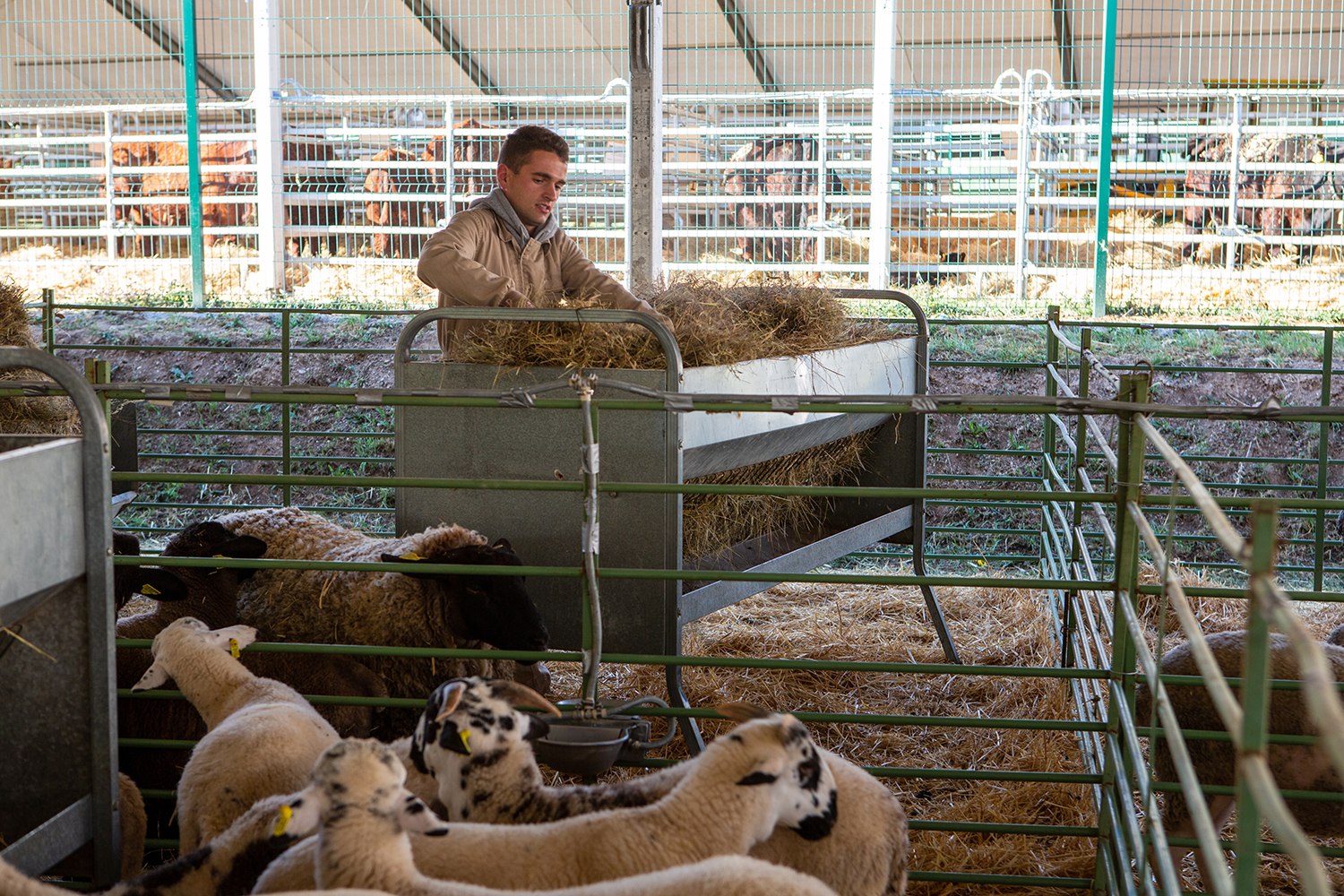 Solsona - Fira de Sant Isidre (Foto: firadesolsona.com)