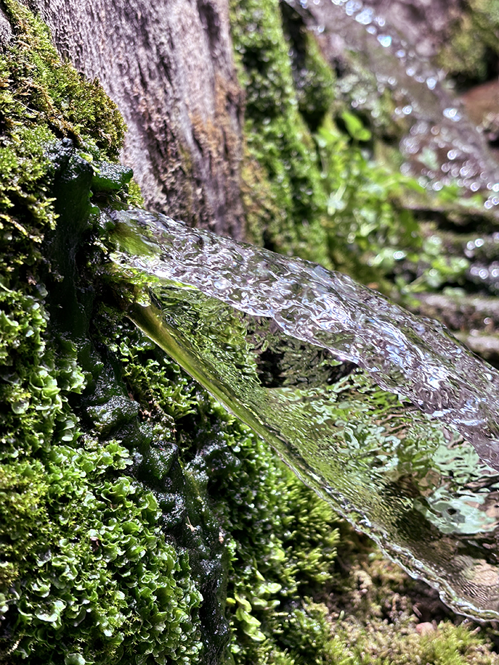 Jardins de la Puda, Font d'en Roca i antics safareigs de Sant Joan de les Abadesses