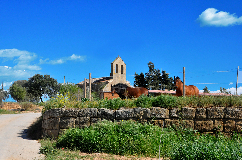 Castellnou d'Ossó