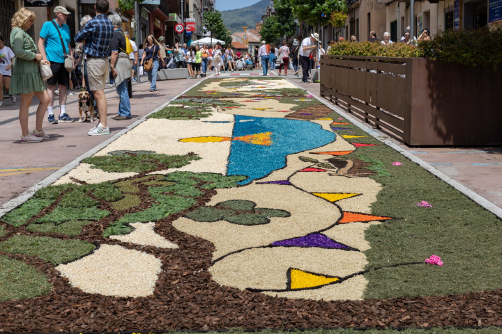 Arbúcies - Catifes de Flors (Foto: www.visitarbucies.com) 