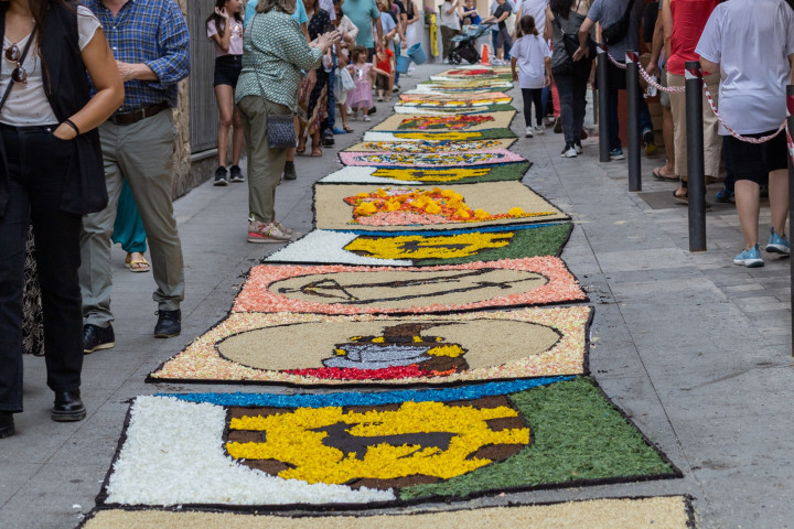 Arbúcies - Catifes de Flors (Foto: www.visitarbucies.com) 