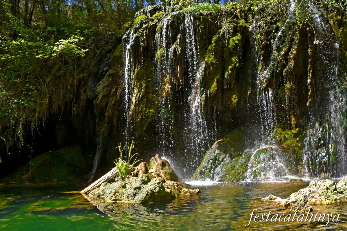 Gorgues de les Planes d'Hostoles ***