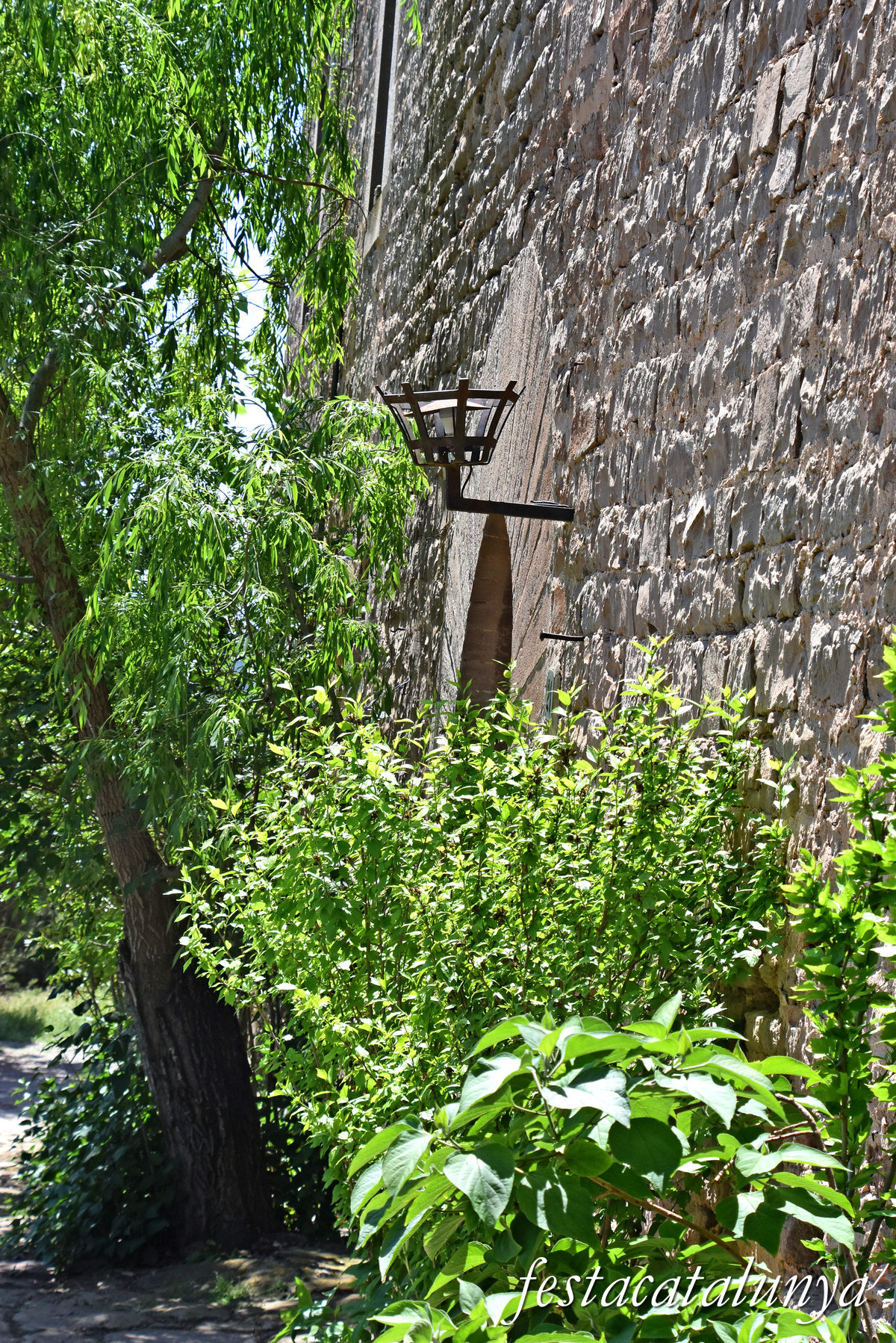 Balsareny - Castell 