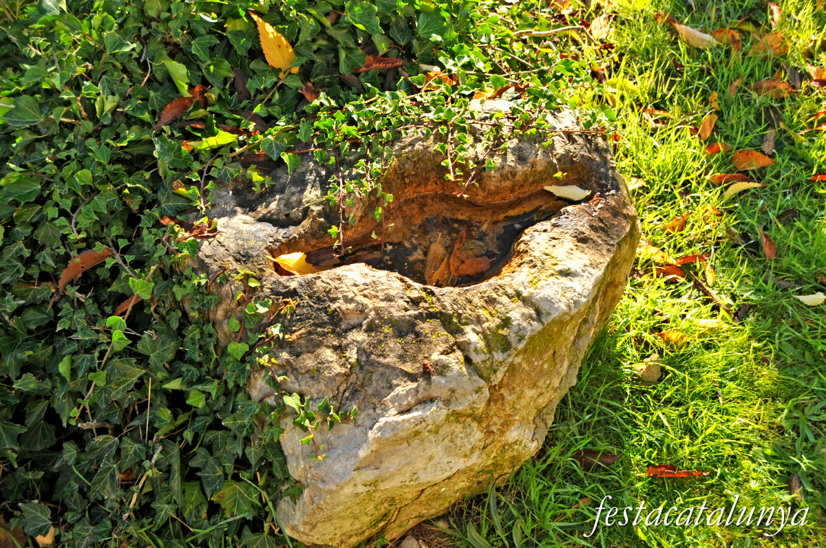 Oliana - Castell 