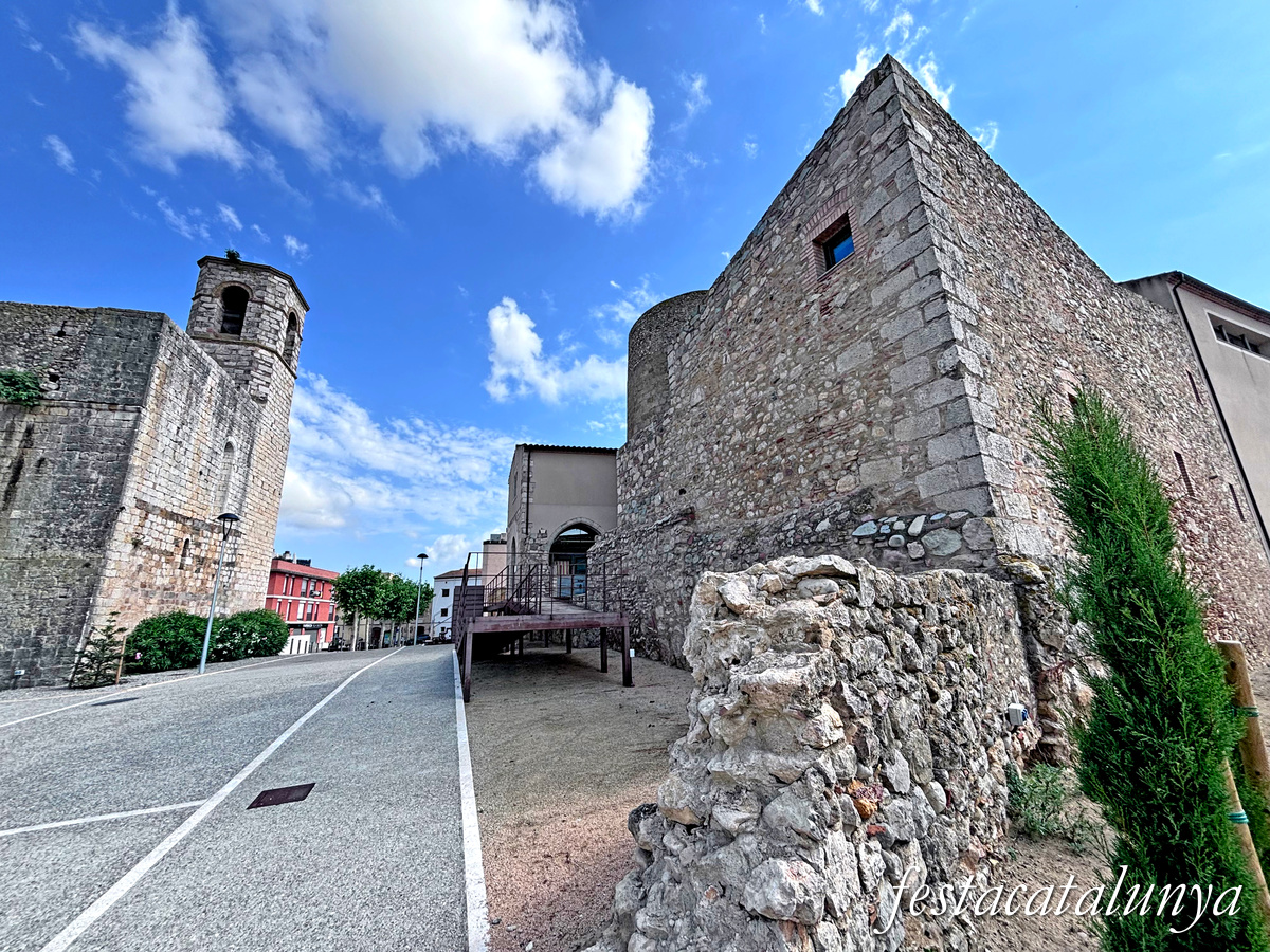 Castell-Palau de l'Abat de Vila-sacra