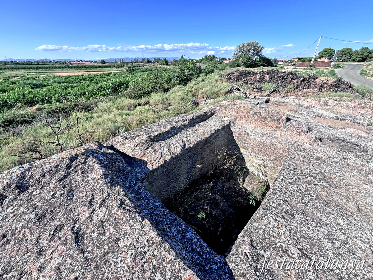 La Grallera de Torrefarrera