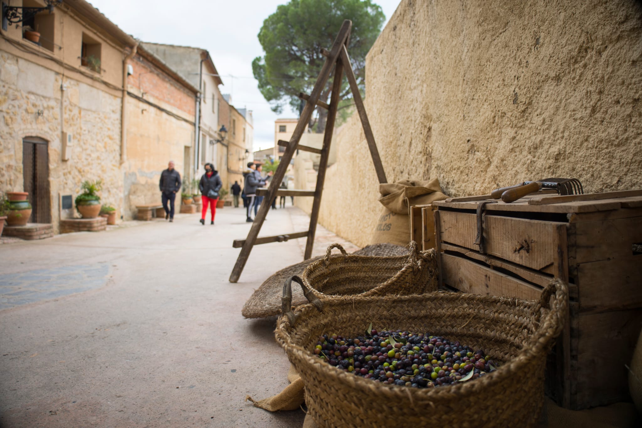 Cabacés - Fira de l'oli Baronia (Foto: Ajuntament de Cabacés) 