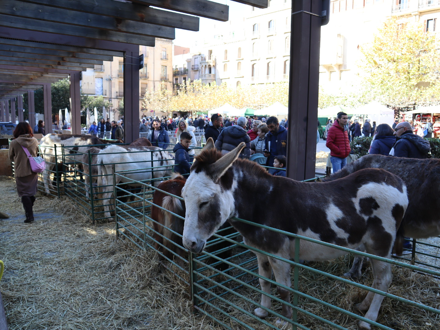 Valls - Mercat de Nadal (Foto: Cambra de Comerç de Valls)