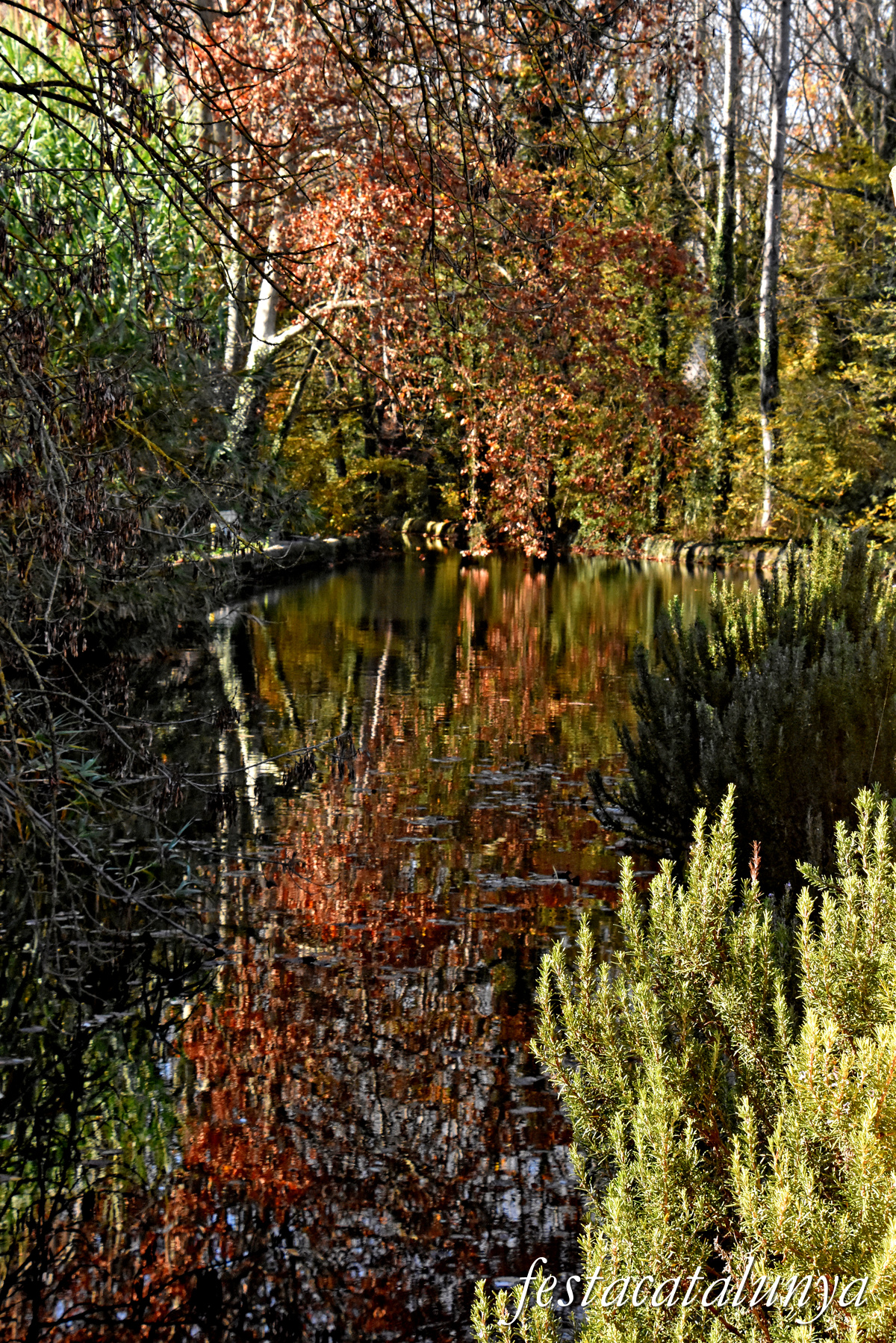 Bescanó - Ruta Ribes del Ter - Molí de Benages 