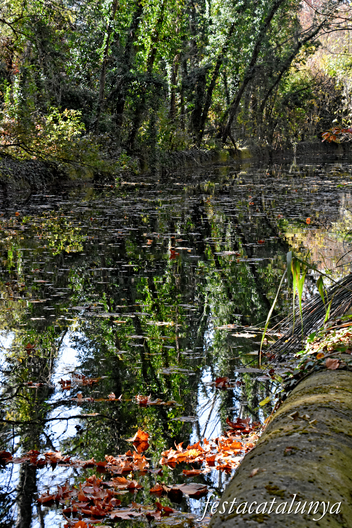 Bescanó - Ruta Ribes del Ter - Molí de Benages 