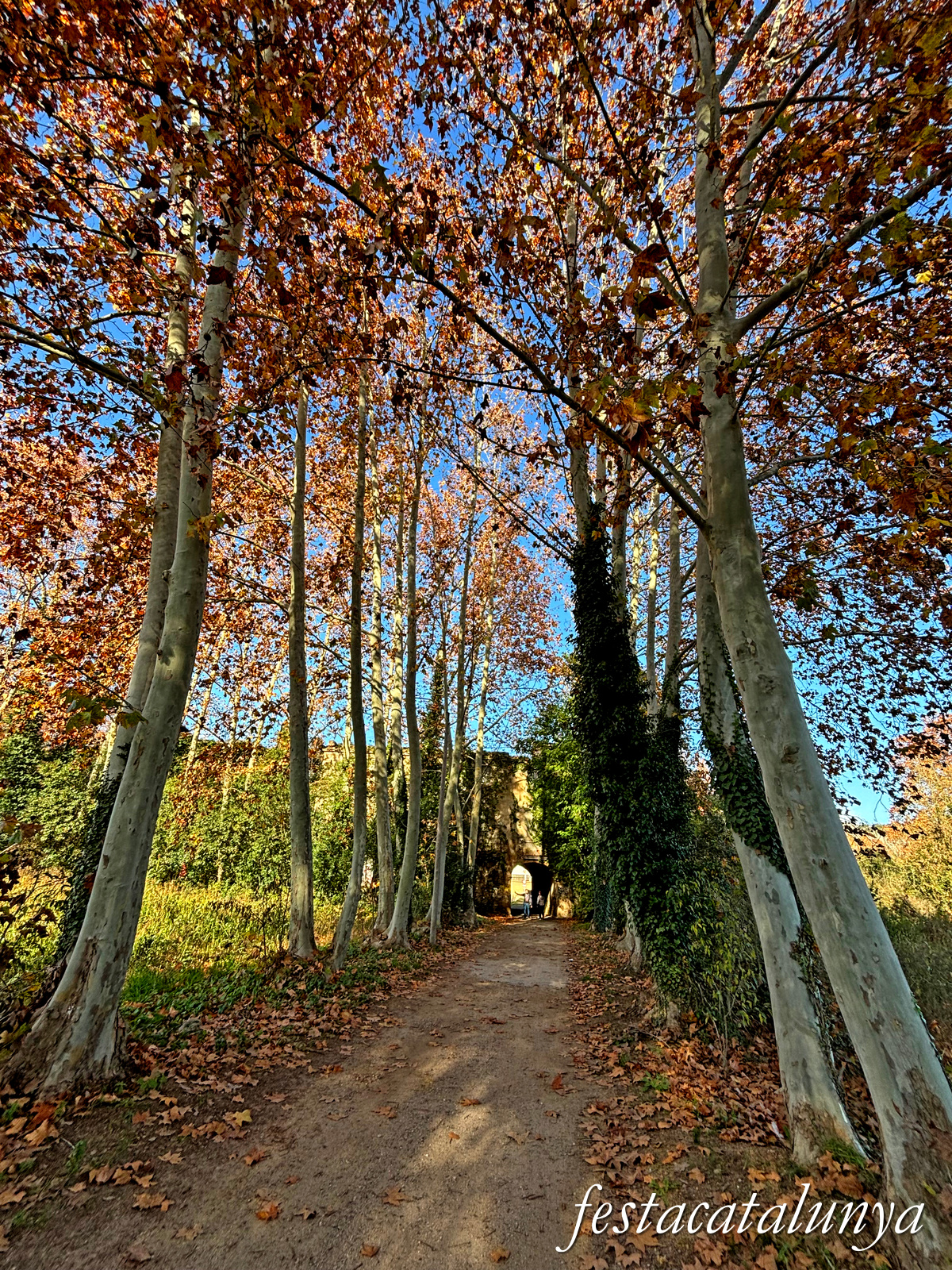 Bescanó - Ruta Ribes del Ter - Palau Berenguer