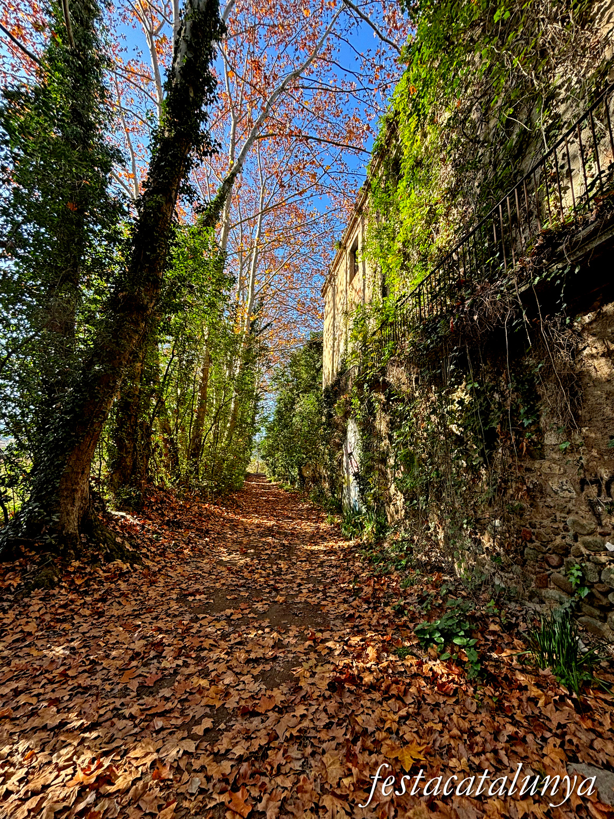 Bescanó - Ruta Ribes del Ter - Palau Berenguer 
