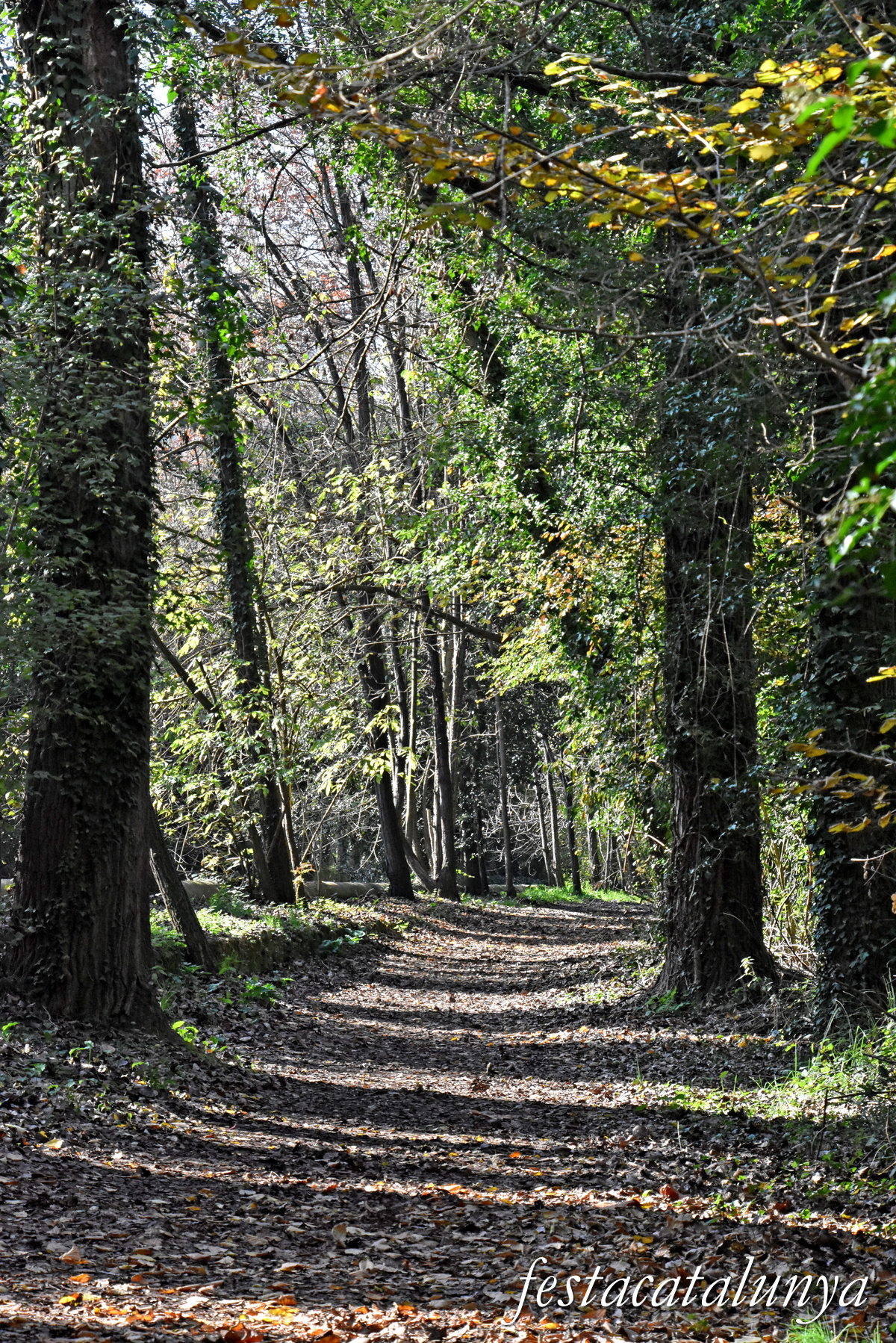 Bescanó - Ruta Ribes del Ter 