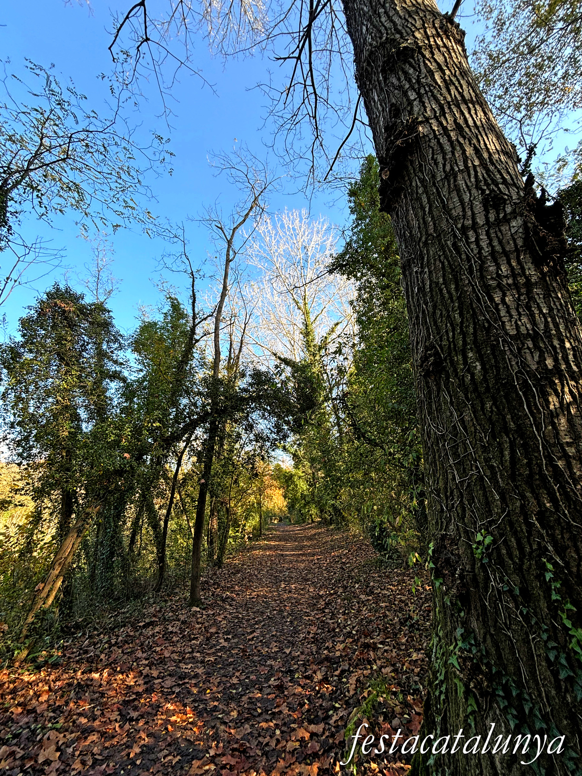 Bescanó - Ruta Ribes del Ter