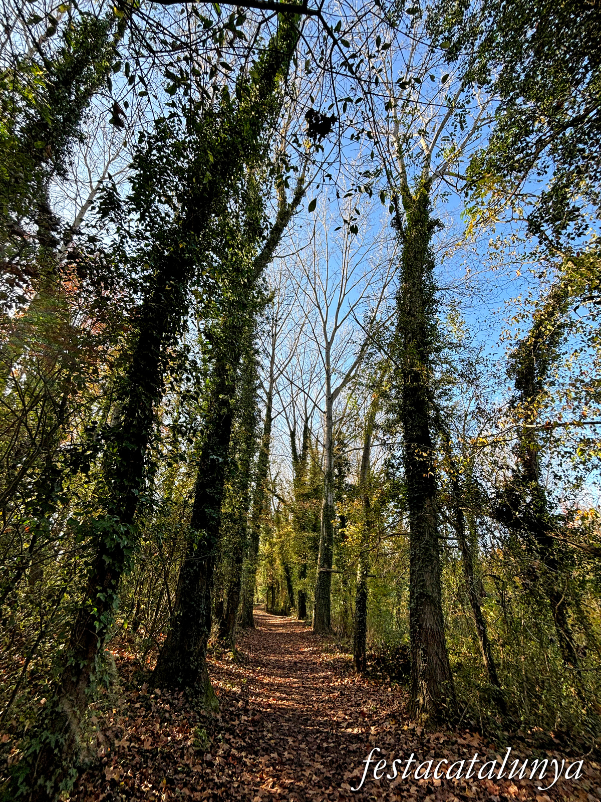 Bescanó - Ruta Ribes del Ter