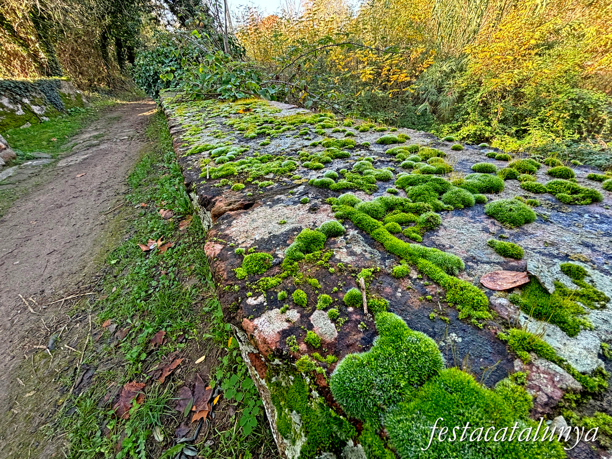 Bescanó - Ruta Ribes del Ter
