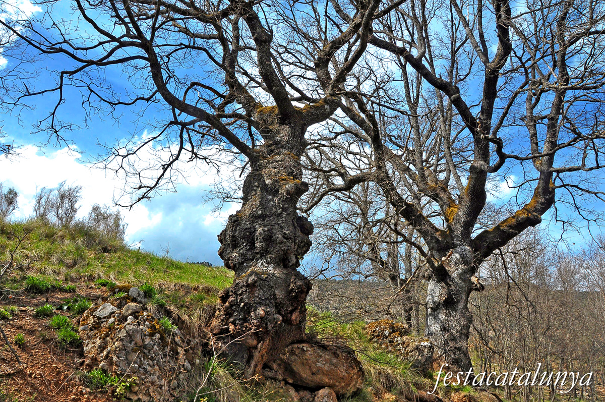 Guixers - Sant Martí de Guixers (Roureda)