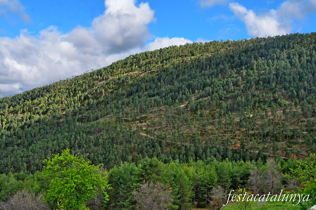 Guixers - Sant Martí de la Corriu (Vistes panoràmiques)