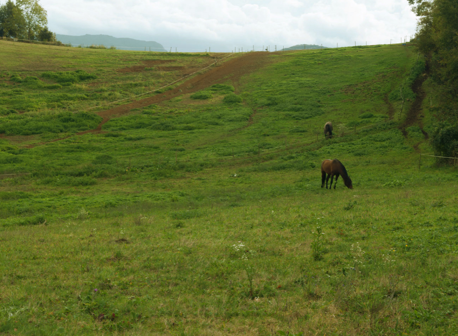 Les Preses - Rutes
