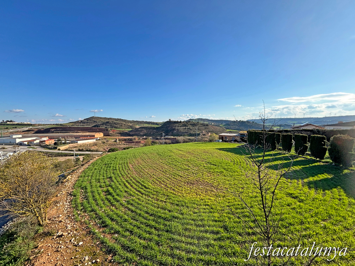 Vistes panoràmiques des de Dusfort ***