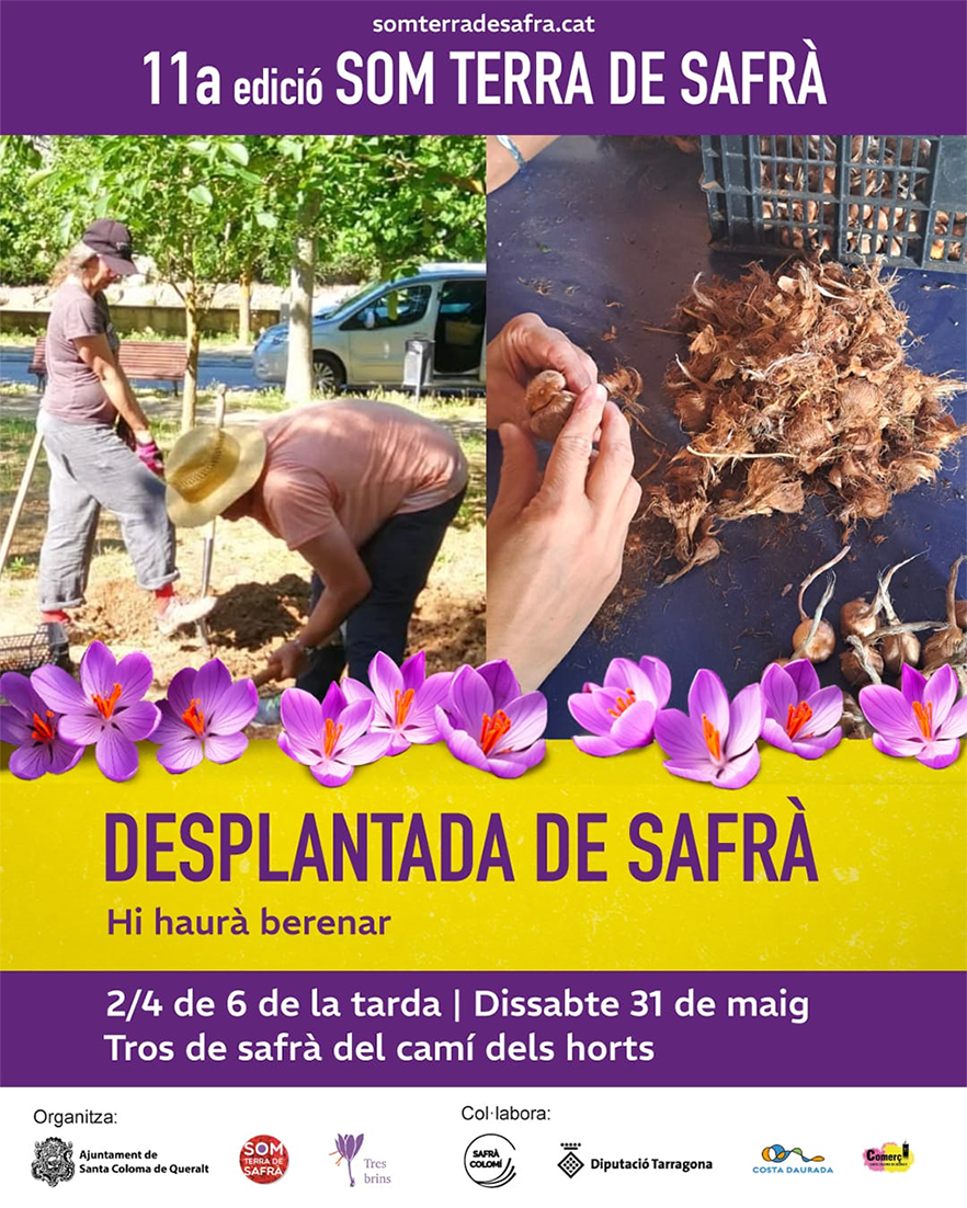 Santa Coloma de Queralt - Desplantada de Safrà 