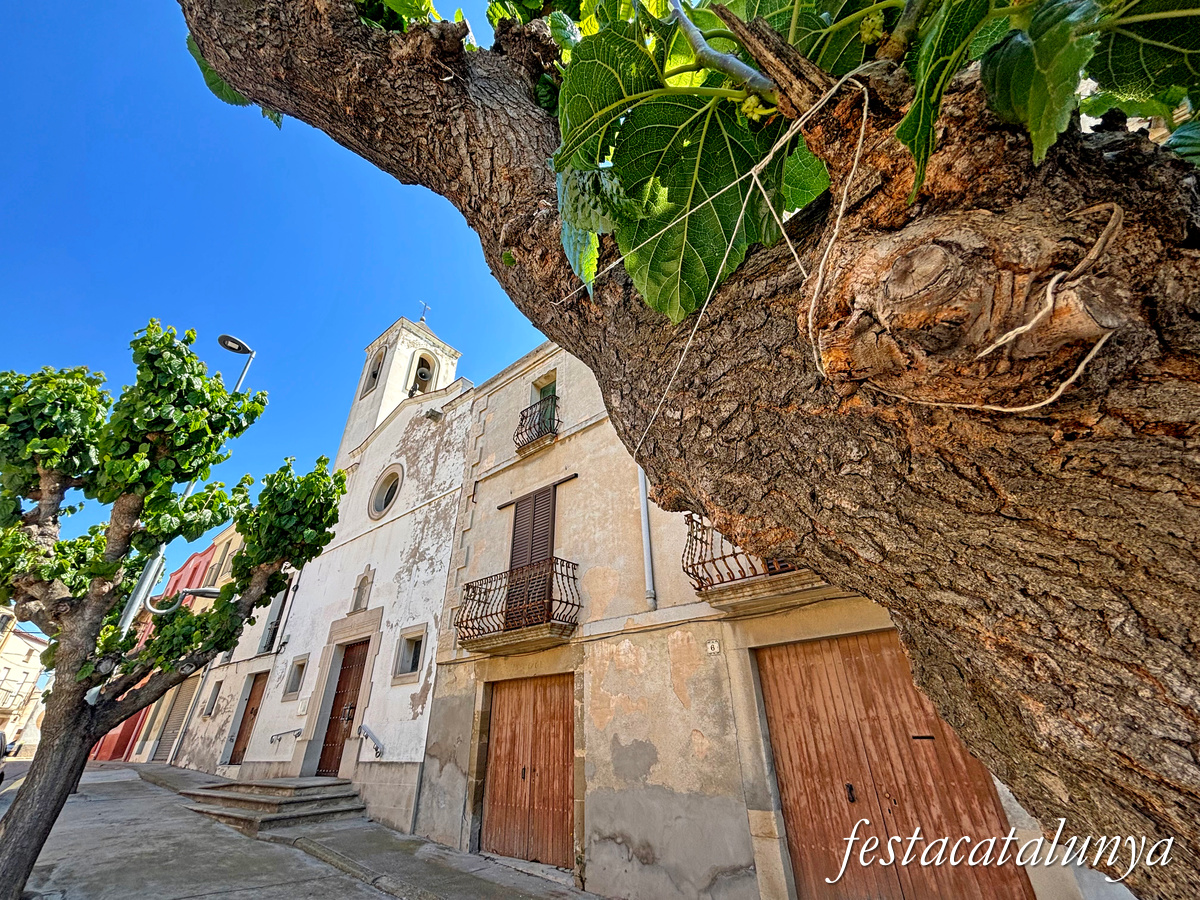 Vallverd a Ivars d'Urgell