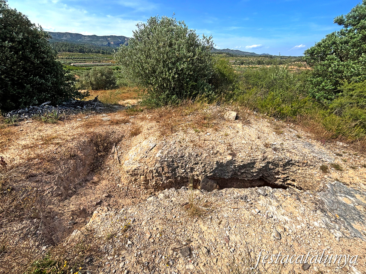 Conjunt defensiu de la Bassa del Pinell de Brai