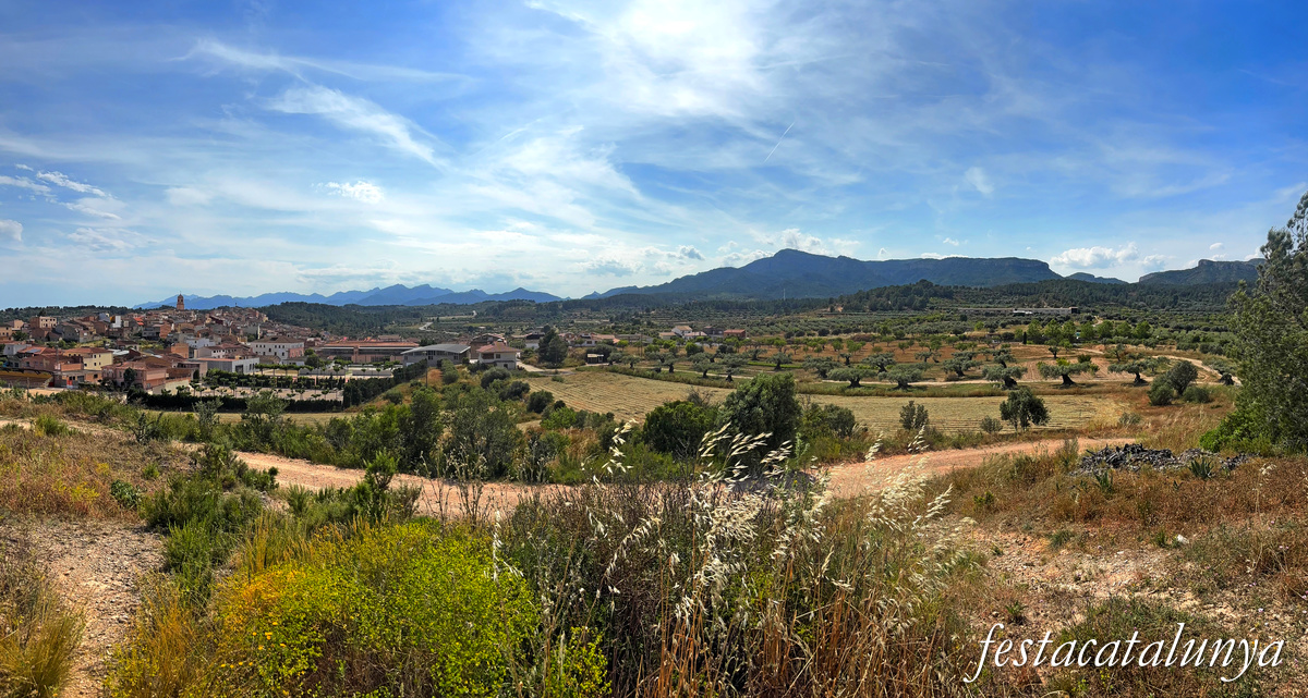 Pinell de Brai - Espais de la Batalla de l'Ebre - Vistes panoràmiques des de la Bassa