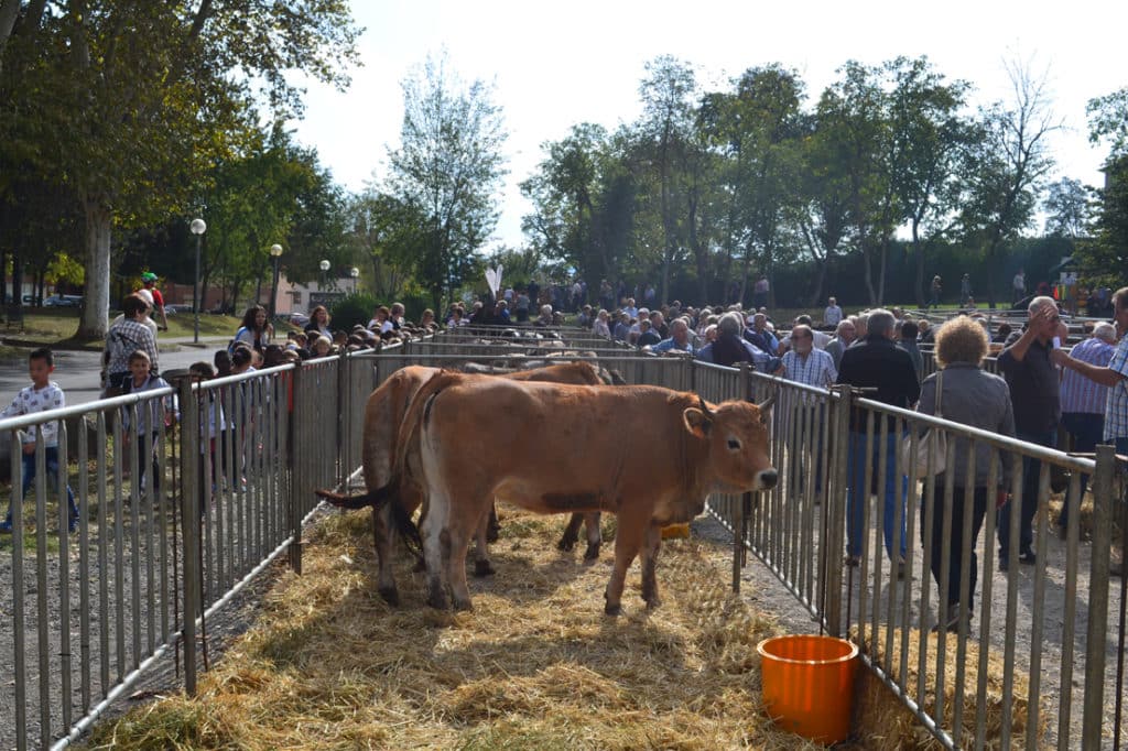 Olot - Fira de Sant Lluc (Foto: descobreixolot.cat)