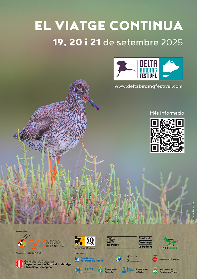 Amposta - Delta Birding Festival 