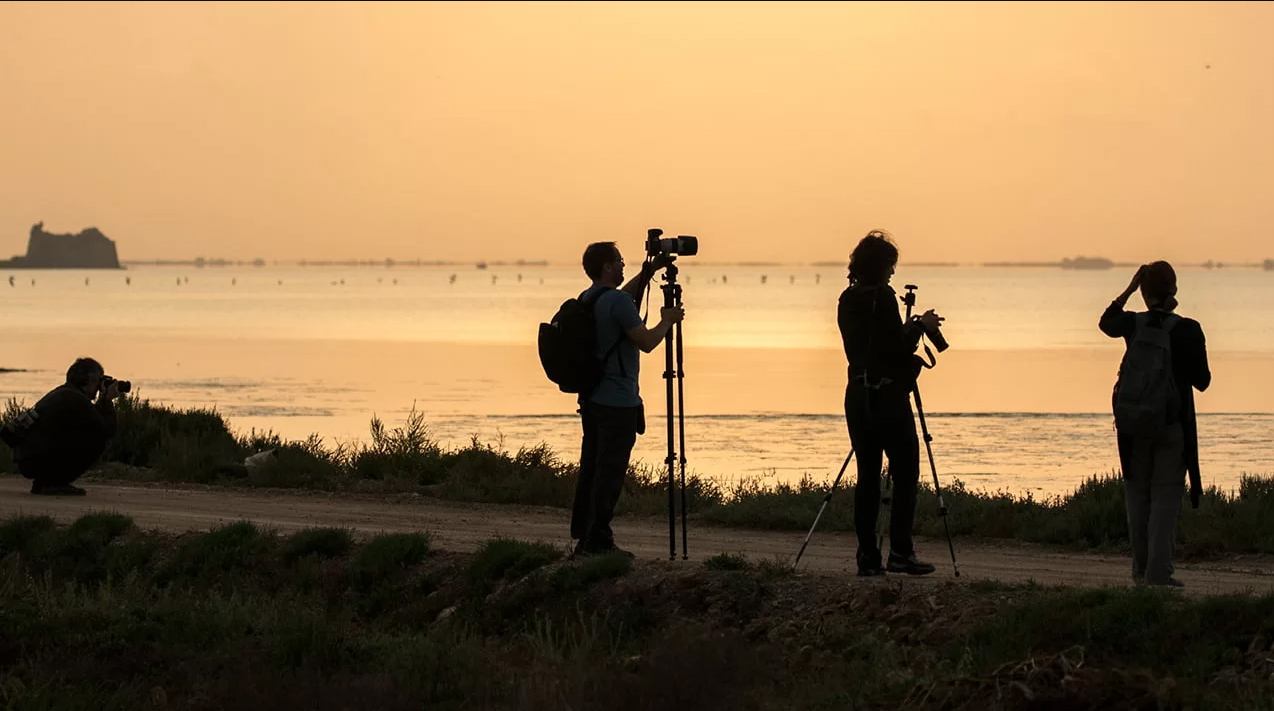Amposta - Delta Birding Festival (Foto: deltabirdingfestival.com) 