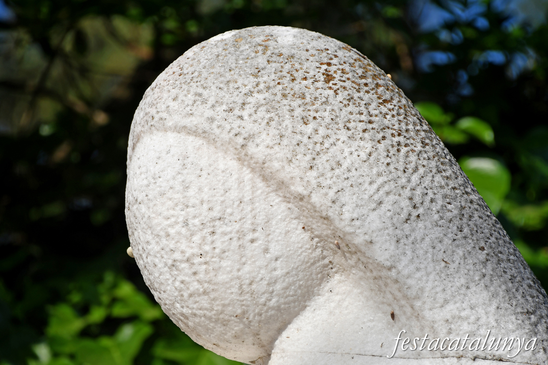 Monistrol de Calders - Escultura Dona asseguda de Josep Maria Brull i Pagès 