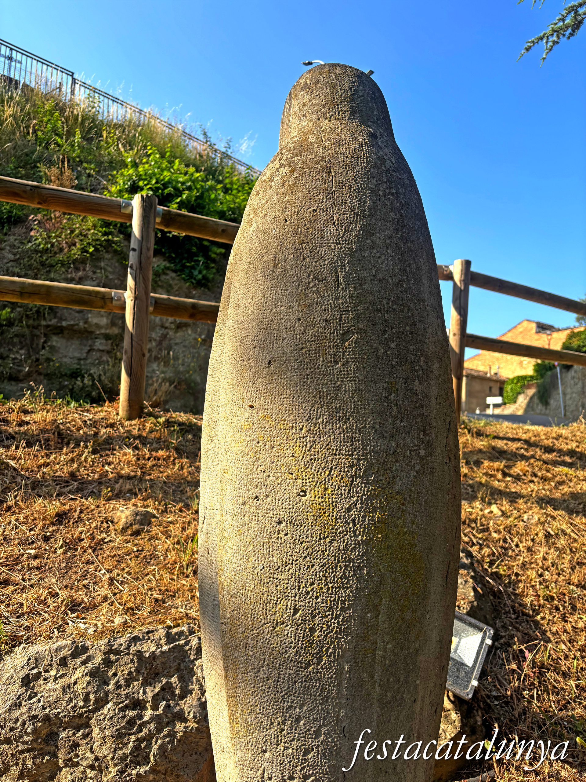 Monistrol de Calders - Escultura Pingüí de Josep Sobrado Balboa 
