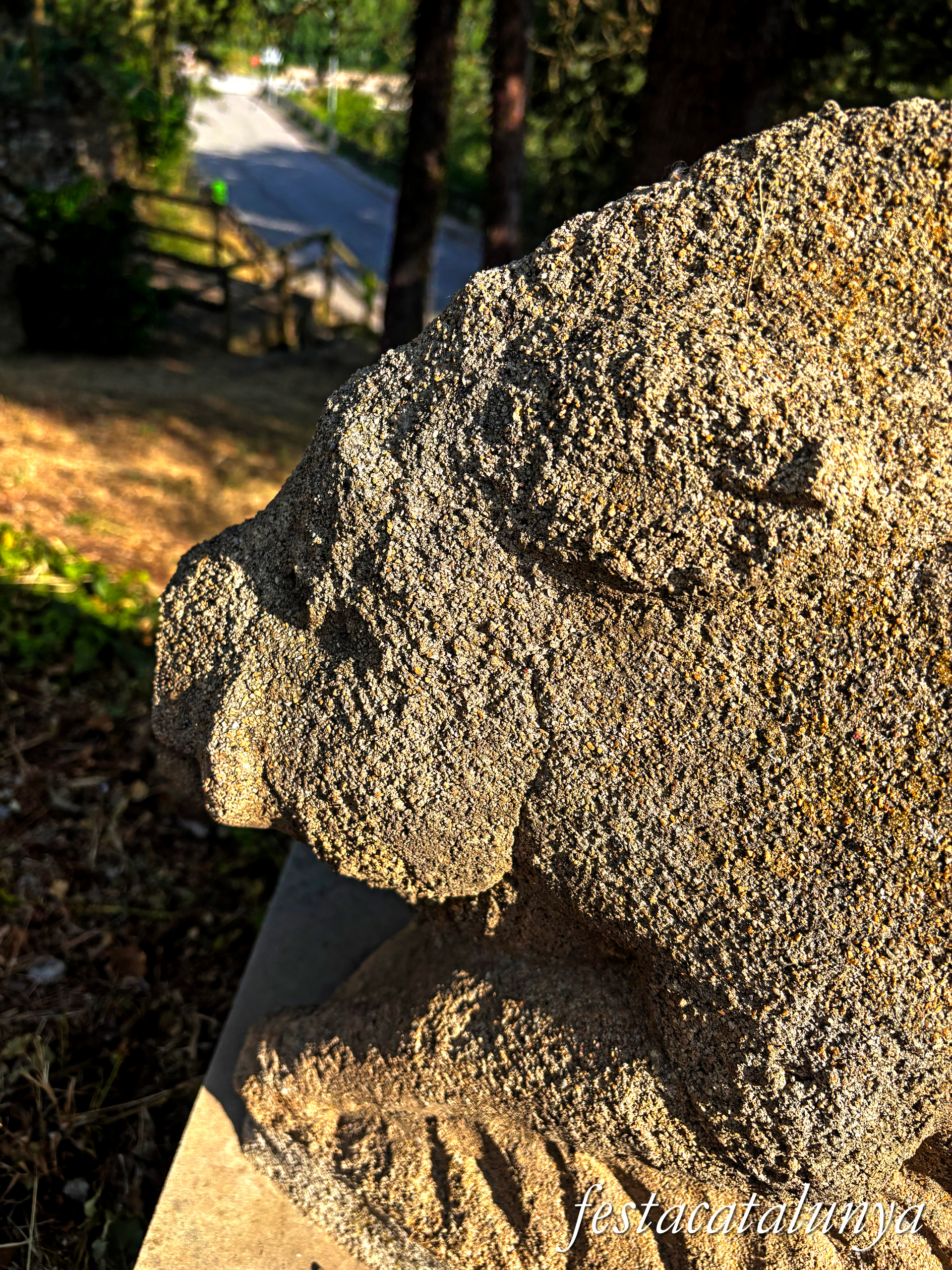 Monistrol de Calders - Escultura Porc Senglar de Josep Sobrado Balboa 