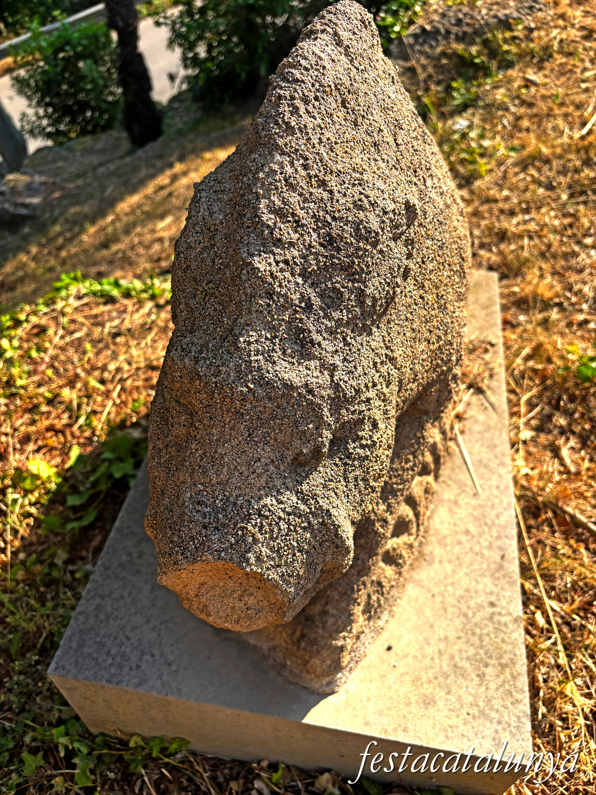 Monistrol de Calders - Escultura Porc Senglar de Josep Sobrado Balboa