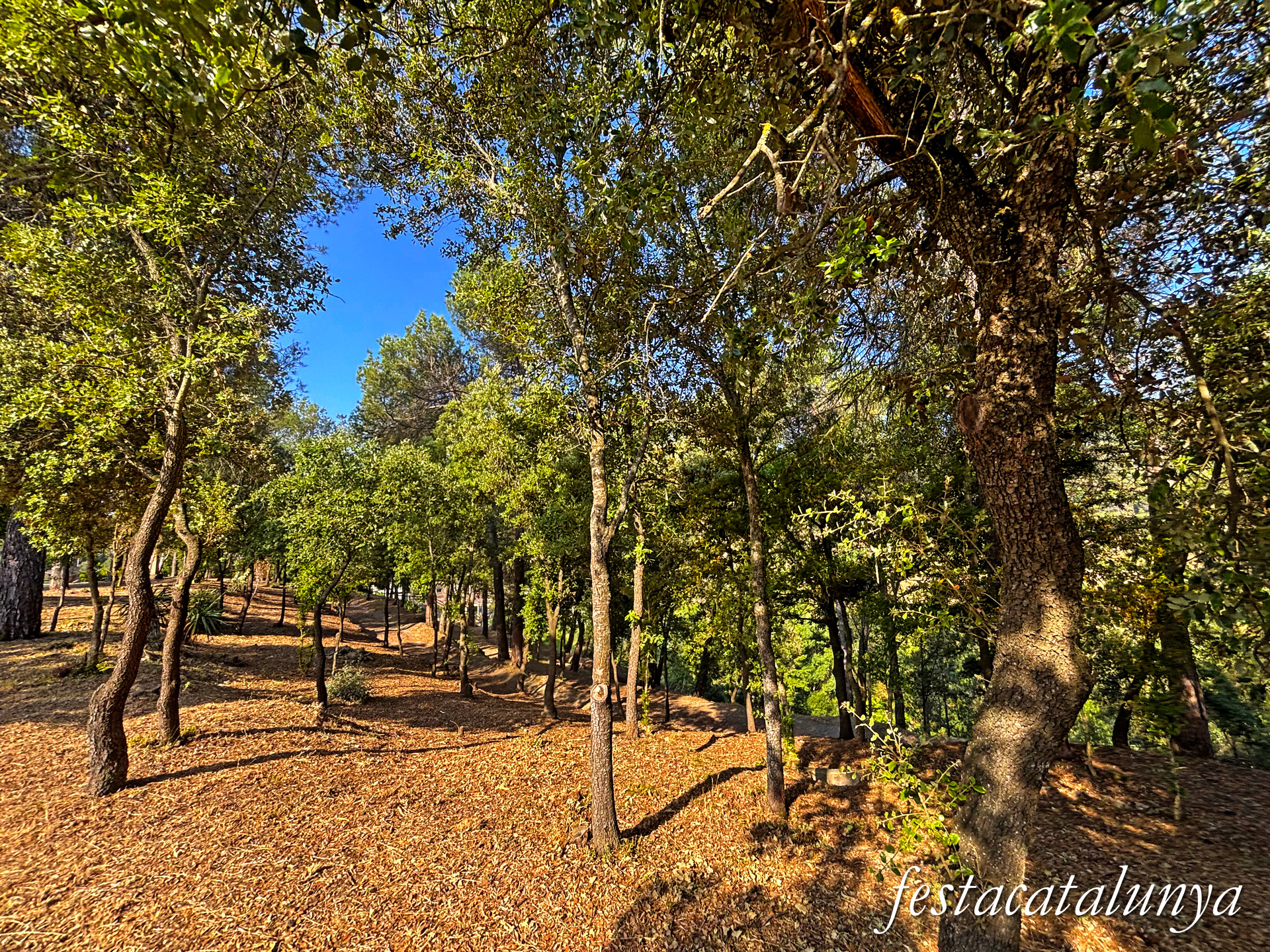 Monistrol de Calders - Parc el Serrat 