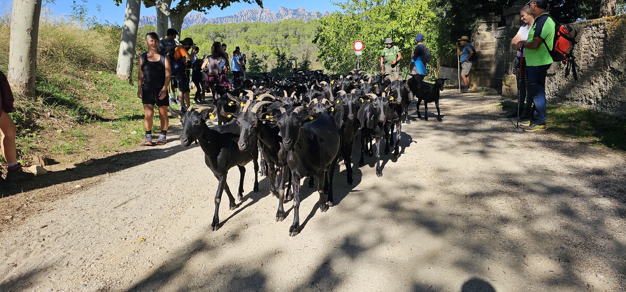 Camins de Vida als Hostalets de Pierola