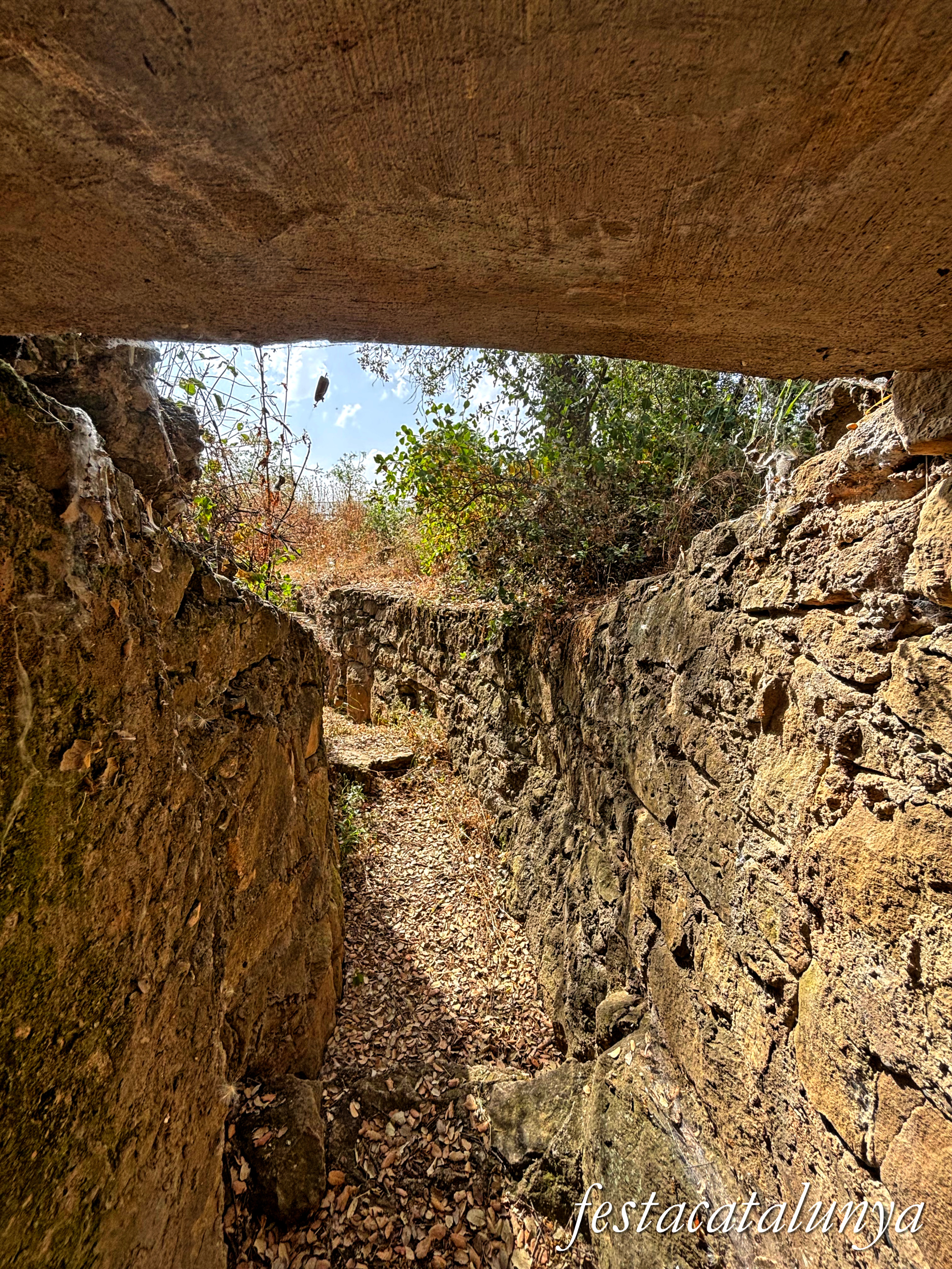 Preixens - Búnquer de la guerra civil prop de la carretera de Castellserà 