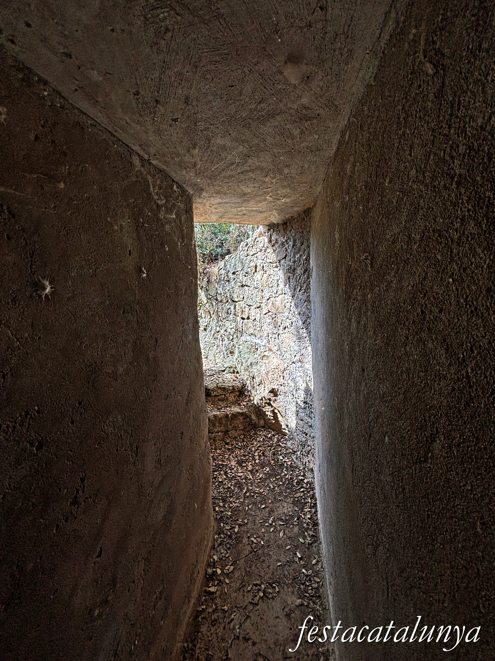 Preixens - Búnquer de la guerra civil prop de la carretera de Castellserà 